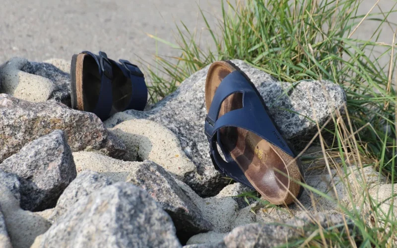 sandały, buty, kosodrzewina, lato, bieganie, natura, wakacje, luźny, kapcie, birkenstock