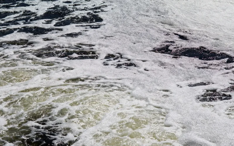 water, sewage, pollution, plum, ecology, factory, natura, rzeka, cleaning