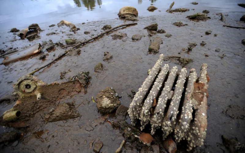 A rusty radiator and other debris are found at low tide along the Duwamish River in Seattle. Sediments (mud and sand on the river bottom) in and along the river contain a wide range of pollution from years of industrial activity and stormwater runoff. Contaminants include polychlorinated biphenyls (PCBs), polyaromatic hydrocarbons (PAHs), mercury and other metals, and phthalates. Visit www.epa.gov/region10/duwamish to learn more about EPA's efforts to clean up and restore the lower Duwamish River.