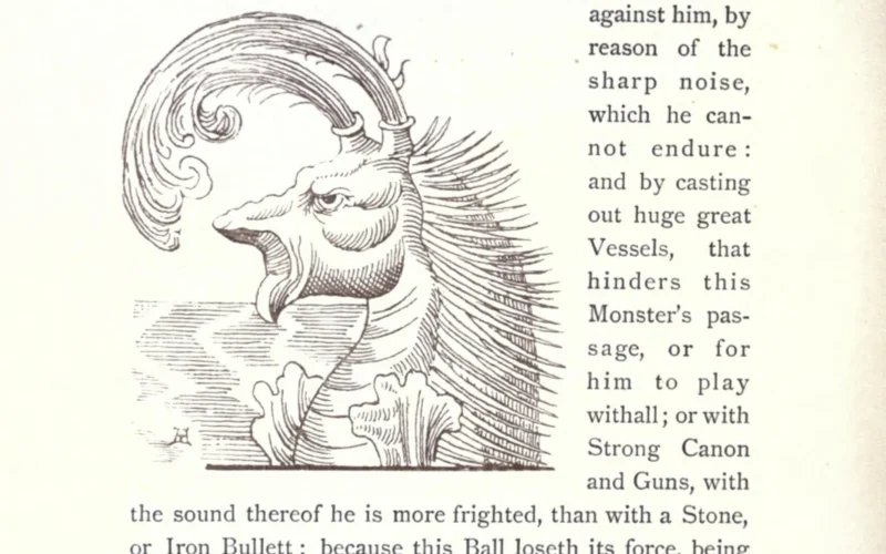 216 CURIOUS CREATURES. weight cast upon the Fore or Hinder-Deck, he sinks, and drowns a ship. " Sometimes, not content to do hurt by water onely, as I said, he will cruelly over throw the ship like any small Vessel, striking it with his back, or tail. He hath a thick black Skin, all his body over ; long fins, like to broad feet, and a forked tail 15 or 20 foot broad, wherewith he forcibly binds any parts of the ship, he twists it about. A Trumpet of War is the fit remedy against him, by reason of the sharp noise, which he can- not endure : and by casting out huge great Vessels, that hinders this Monster's pas- sage, or for him to play y*in and Guns, with the sound thereof he is more frighted, than with a Stone, or Iron Bullett ; because this Ball loscth its force, being hindered by his Fat, or by the Water, or wounds but a little, his most vast body, that hath a Rampart of mighty Fat to defend it. Also, I must add, that on the Coasts of Norway, most frequently both Old and New Monsters are seen, chiefly by reason of the inscrutable depth of the Waters. Moreover, in the deep Sea, there are many kinds of fishes that are seldome or never seen by Man."