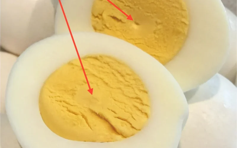 Cross-section diagram of a perfectly hard-boiled egg explicitly highlighting the latebra anatomy.