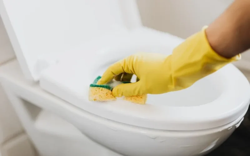 From above of crop anonymous person in rubber gloves using soapy sponge while cleaning toilet bowl