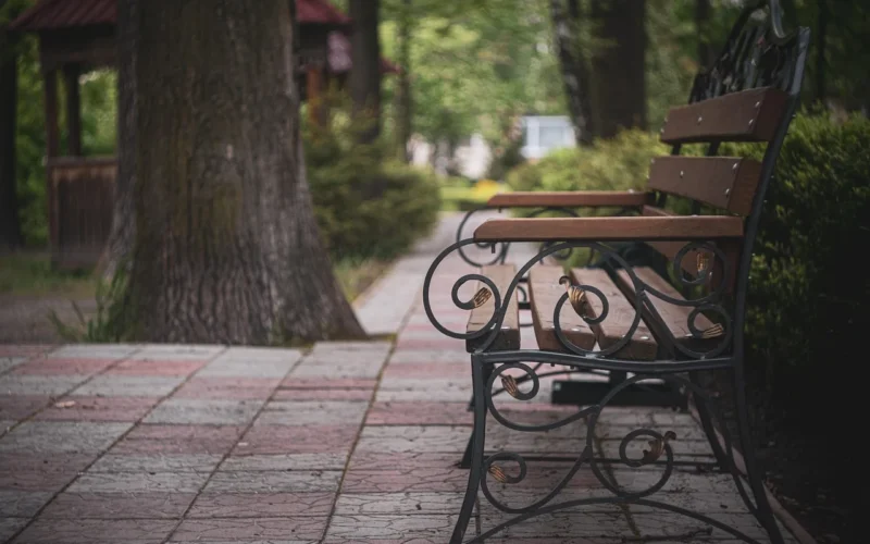 bench, park, garden, drzewo, seat, nature, zielony, chair, jesień, trawa, relax, drewno, outdoor, na dworze, wooden, furniture, summer, wiosna, sit, path, nobody, empty, miasto, metal, stary, bench, bench, bench, garden, garden, garden, nature, relax, relax, relax, relax, relax, furniture, furniture, sit