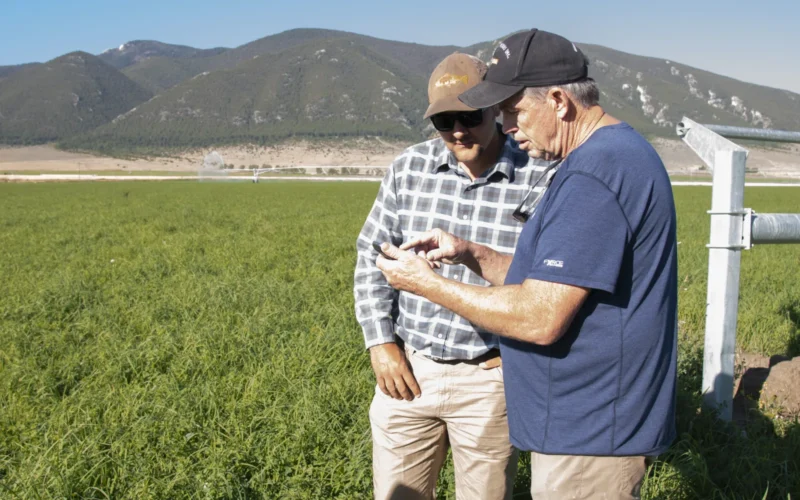 Irrigation is controlled by a smartphone app at P&J Ranches where Producer Steve Burke (black baseball cap) and other landowners use water from the Ruby Reservoir at the base of the Ruby Mountains where water flows along the West Bench Canal, just above the mountain base, above the farmlands; along the way, improved U.S. Department of Agriculture (USDA) funded control valves allow water through debris grates and additional (self-cleaning) rotating cylindrical algae filter screens before entering inlets to funded Irrigation Water Management systems and into the (gravity-flow) Irrigation Pipeline that supplies five center-pivot and one wheel-line Sprinkler System without the use of pumps in Sheridan, MT, on August 28, 2019. The elevation drop from the canal to the sprinklers provides the needed water pressure to efficiently spray water out of the hanging sprinkler nozzles and the gun sprinklers with a rocker-arm drive. This improved water availability, reduced irrigation labor, reduced runoff and erosion, reduced water use, increased yield, cut costs. Mr. Burke worked with Natural Resources Conservation Service (NRCS) District Conservationist John Wagoner (tan baseball cap and sunglasses) and NRCS Soil Conservation Technician Clayton Marxer (straw cowboy hat). The irrigation sprinklers systems are fully controlled and monitored from his smartphone connected to the local rural broadband network. To check the soil health, Mr. Burke uses a hand auger to drill into the soil and pull out samples from his crops. At this time, he is busy operating a combine to harvest the wheat from the fields. Then his son Steve Burke, Jr., uses stacker equipment to collect the big straw bales quickly. USDA Photo by Lance Cheung. Irrigation System Sprinkler System (Practice Code 442) is an irrigation system in which all necessary equipment and facilities are installed for efficiently applying water by means of nozzles operated under pressure. for more information, please see nrcs.usda.gov/Internet/FSE_DOCUMENTS/stelprdb1046885.pdf Irrigation Pipeline (Practice Code 430) is an irrigation pipeline and its appurtenances that are installed as part of an irrigation system to convey water for storage or application. For more information, please see nrcs.usda.gov/wps/portal/nrcs/detail/national/water/?cid=nrcs144p2_027153 Irrigation Water Management (Practice Code 449) Irrigation water management is the process of determining and controlling the volume, frequency, and application rate of irrigation water in a planned, efficient manner. For more information, please nrcs.usda.gov/wps/portal/nrcs/detail/ny/technical/cp/?cid=nrcs144p2_027155 For more information, please see: Conservation Practices - usda.gov/wps/portal/nrcs/detailfull/national/technical/cp/ncps/?cid=nrcs143_026849 NRCS – NRCS - nrcs.usda.gov/wps/portal/nrcs/site/national/home/ FPAC - Farm Production and Conservation - usda.gov/our-agency/about-usda/mission-areas USDA - USDA.gov