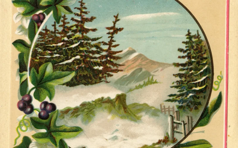 Depicts a bough with flowers and berries framed around a picture of mountains in the winter. Originally scanned for the Minnesota Digital Library with funding from the Minnesota Arts and Cultural Heritage Fund, a component of the Minnesota Clean Water, Land and Legacy constitutional amendment, ratified by Minnesota voters in 2008.