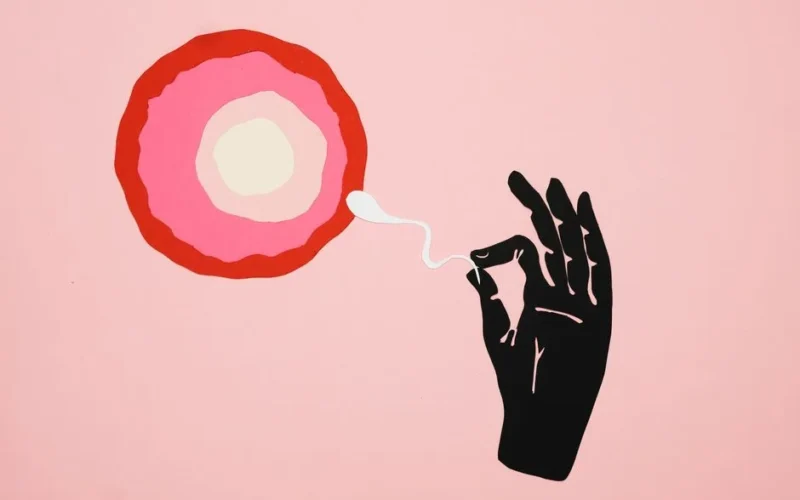 Illustration depicting fertilization with ovum and sperm on a pink background.