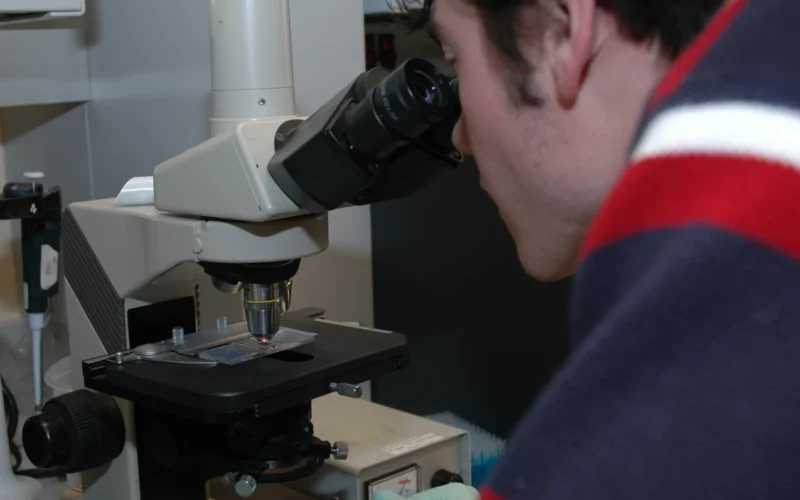 Title Scientist Working in Laboratory Description A male scientist examines a slide under a microscope. Topics/Categories People -- Health Professional Science and Technology -- Laboratory Techniques/Equipment Type Color, Photo Source National Cancer Institute