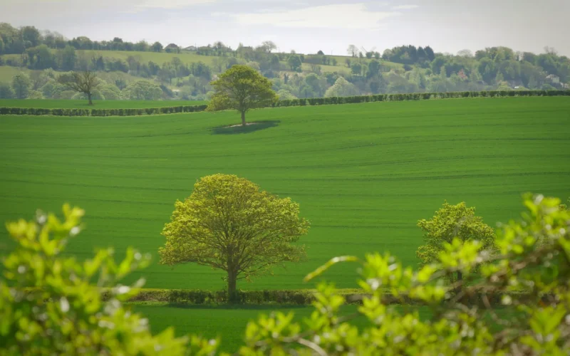 United Kingdom