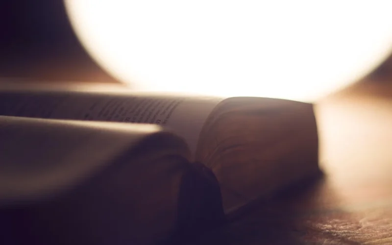 biblia, plama, książka, ścieśniać, otwarty, otwarta książka, otwórz biblię, czytać, czytanie, czytanie biblii, studium biblijne, nauka, strony, papier, wiedza, mądrość, uczenie się, biblia, biblia, biblia, biblia, biblia, książka, książka, czytanie, nauka