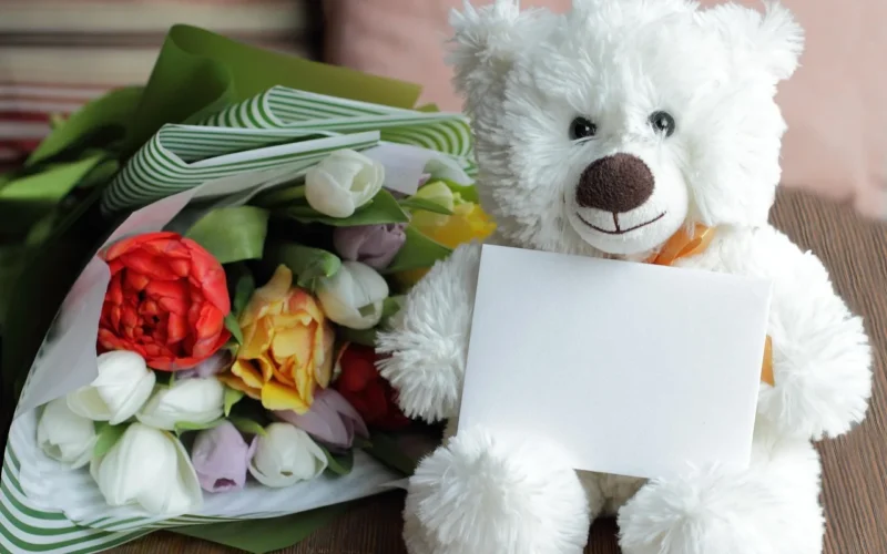 bear, toy, teddy, miłość, kwiat tło, biały, prezent, ładny, teddy bear, cicha sympatia, zwierzę, serce, czerwony, flower, soft, odosobniony, sitting, róża, tapeta kwiatowa, uroczystość, różowy, natura, święto, puszyste, kwiat róży, plush, teraźniejszość, piękne kwiaty, dzień, childhood