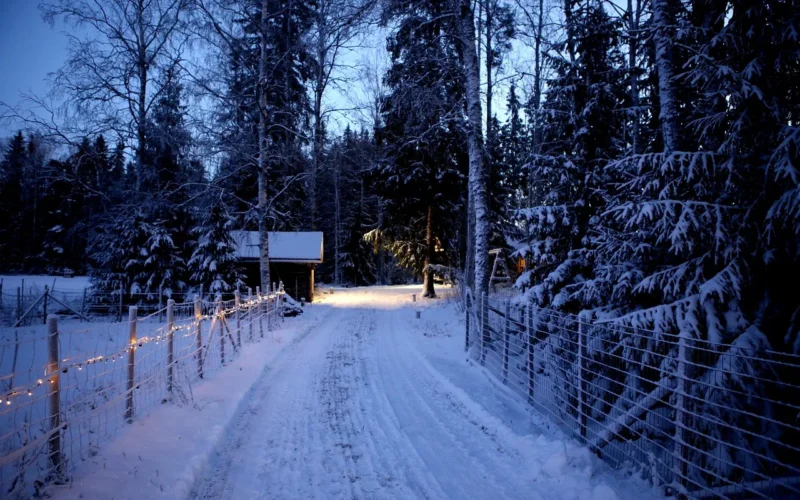 natura, zima, pora roku, drzewa, śnieg, boże narodzenie, światła, wieś, christmas tapety, zima, zima, boże narodzenie, boże narodzenie, boże narodzenie, boże narodzenie, boże narodzenie