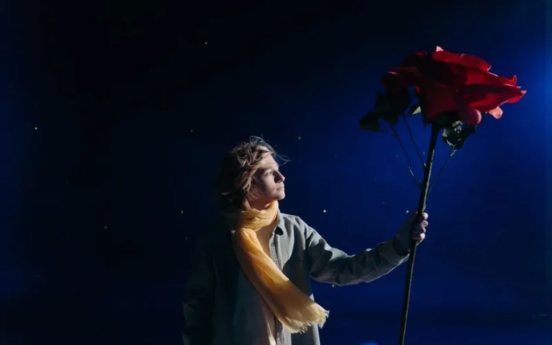 A young boy with a yellow scarf holds a giant red rose beneath a starry, blue night sky.