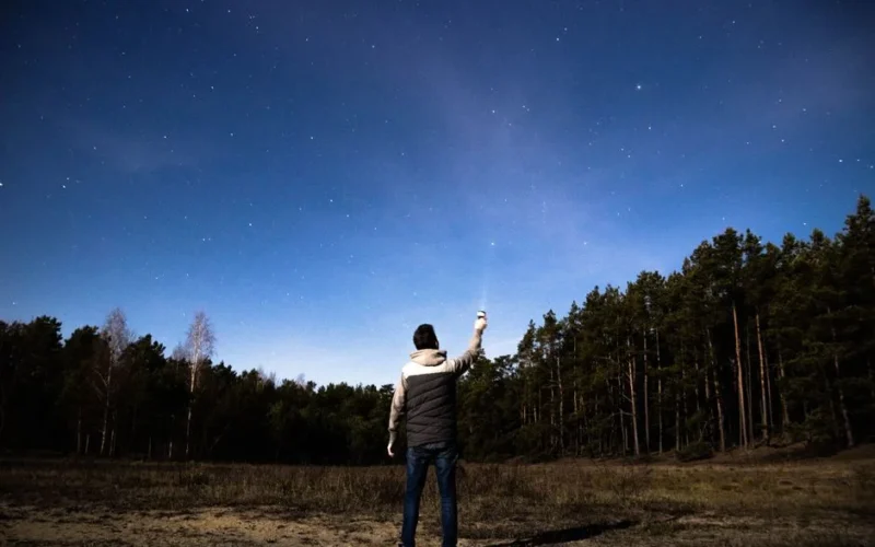 A person stands in a forest clearing, gazing at the starry night sky, holding a light.