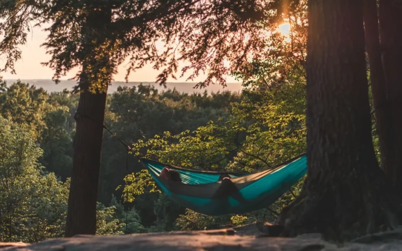 Serene scene of a person relaxing in a hammock amidst a sunlit forest, capturing tranquility.