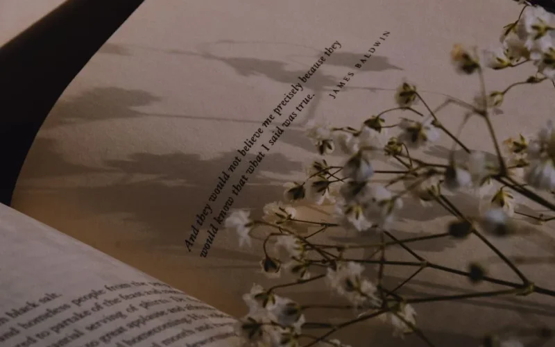 Artistic close-up of a book page with delicate flowers in soft focus.