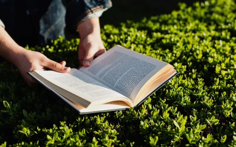 Crop faceless person in casual clothes reading story while resting with book on fresh green lawn of park in summertime