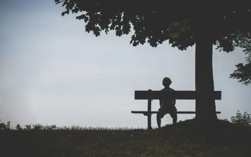 A lone silhouette on a bench under a tree evokes solitude at twilight.