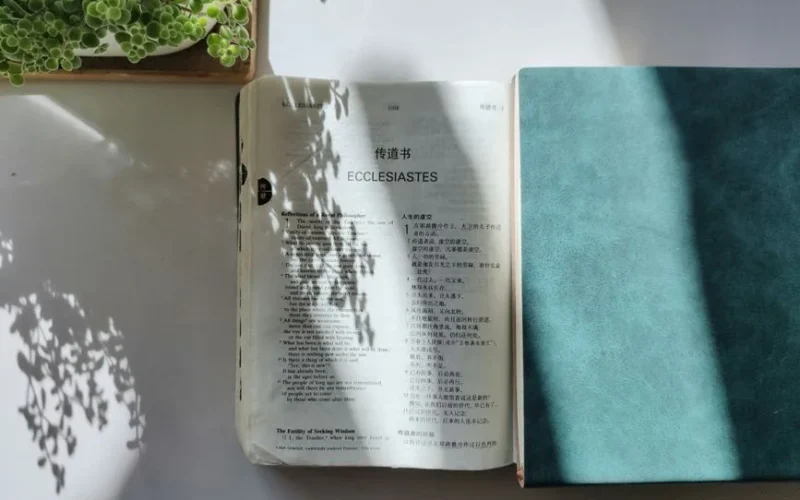 An open Bible displaying Ecclesiastes with sunlight and plant shadows on a white table.