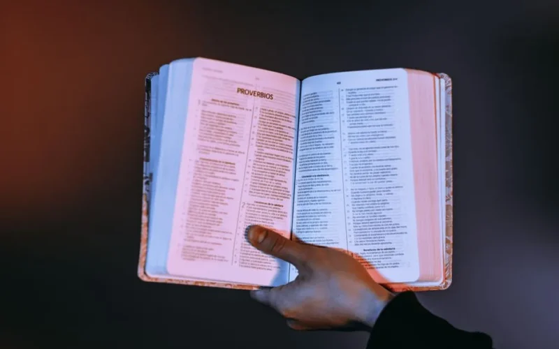 A person holds an open Bible with Proverbs highlighted, bathed in warm light.
