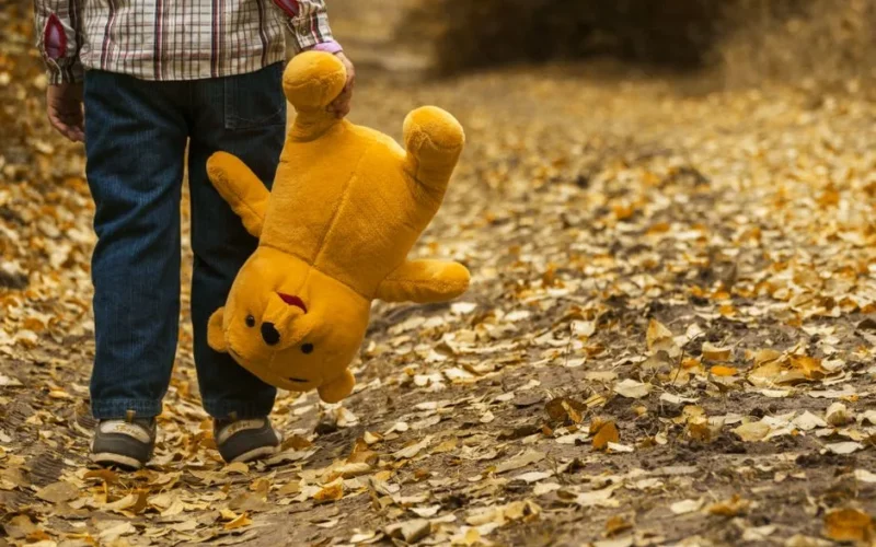 A child holding a plush toy walks through a forest path covered in autumn leaves.