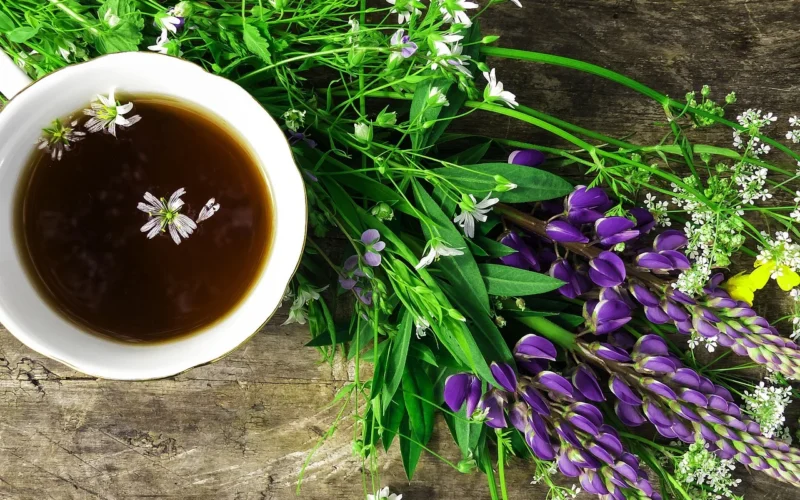wild flowers, tea in the field, summer vacation, tea party, flowers, lupin, chamomile, buttercup, kawa, mug, summer tea, beautiful photo, tea in the garden, drink in the garden, łąka, for women, gift to a girl, bouquet for a woman, beautiful bouquet, niebieski, biały, żółty, zielony, trawa, women ' s happiness