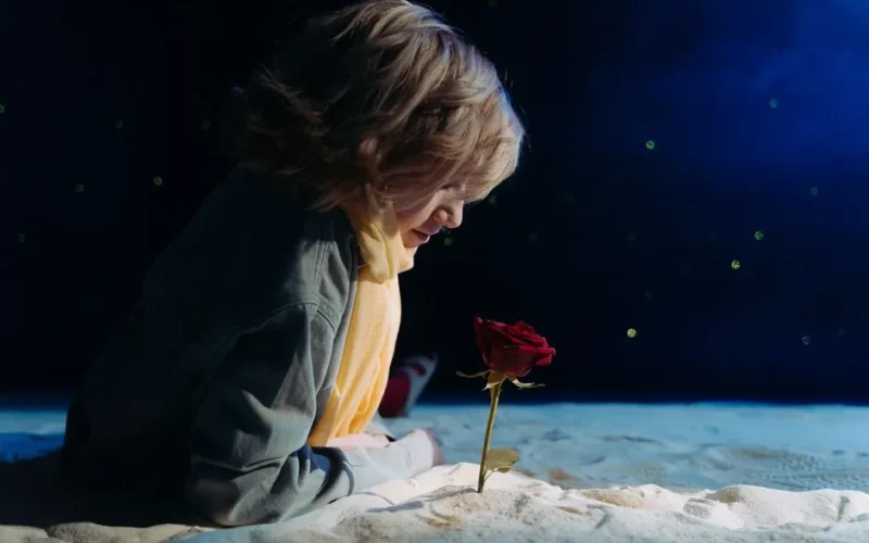 A child in cosplay as the Little Prince gazing at a single red rose against a starry night backdrop.