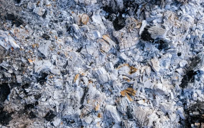 Close-up photo of ash and charred wood showing texture details.