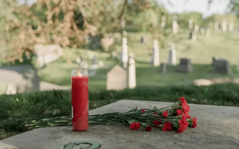 A serene cemetery scene with a red candle and carnations honoring a memory.