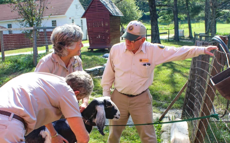 Volunteer washing a goat Volunteers taking care of the goats Keywords: Carl Sandburg Home National Historic Site; CARL; Carl Sandburg Home; Carl Sandburg; North Carolina; volunteer; Volunteers In Parks; farm animals; goats