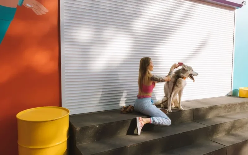 Woman combing Siberian husky on city steps with colorful urban background.